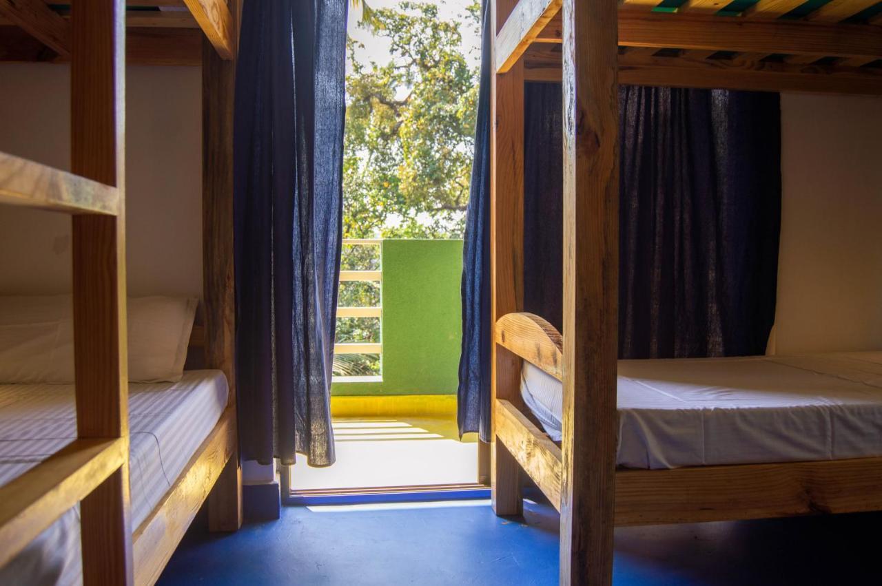 Green Nest Hostel, Baga- North Goa Arpora Bagian luar foto